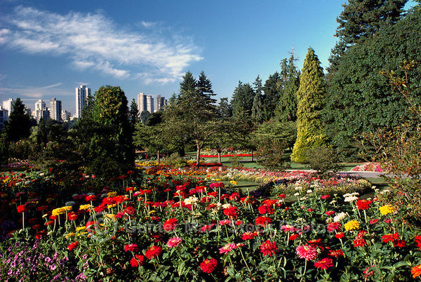 Vancouver one day tour:  Stanley Park