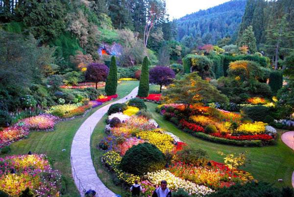 Victoria one day tour: Spend time in the world famous Butchart Gardens, which is now a National Historic Site of Canada (Entrance Fee is included) 
